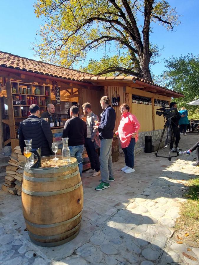 Hotel Sadmeli Winery Ambrolauri Zewnętrze zdjęcie