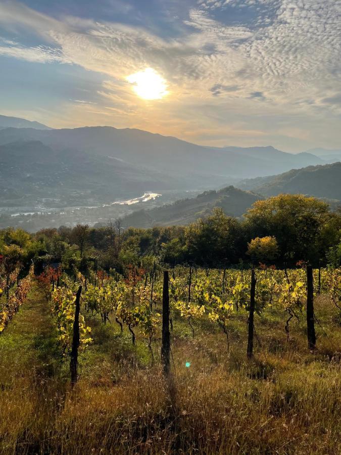 Hotel Sadmeli Winery Ambrolauri Zewnętrze zdjęcie