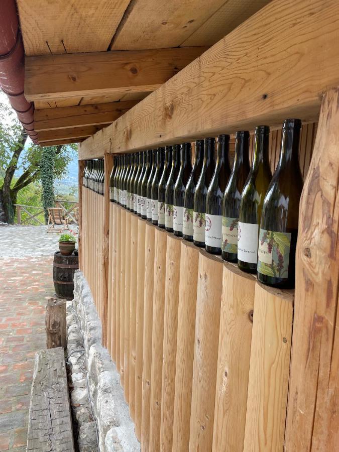 Hotel Sadmeli Winery Ambrolauri Zewnętrze zdjęcie
