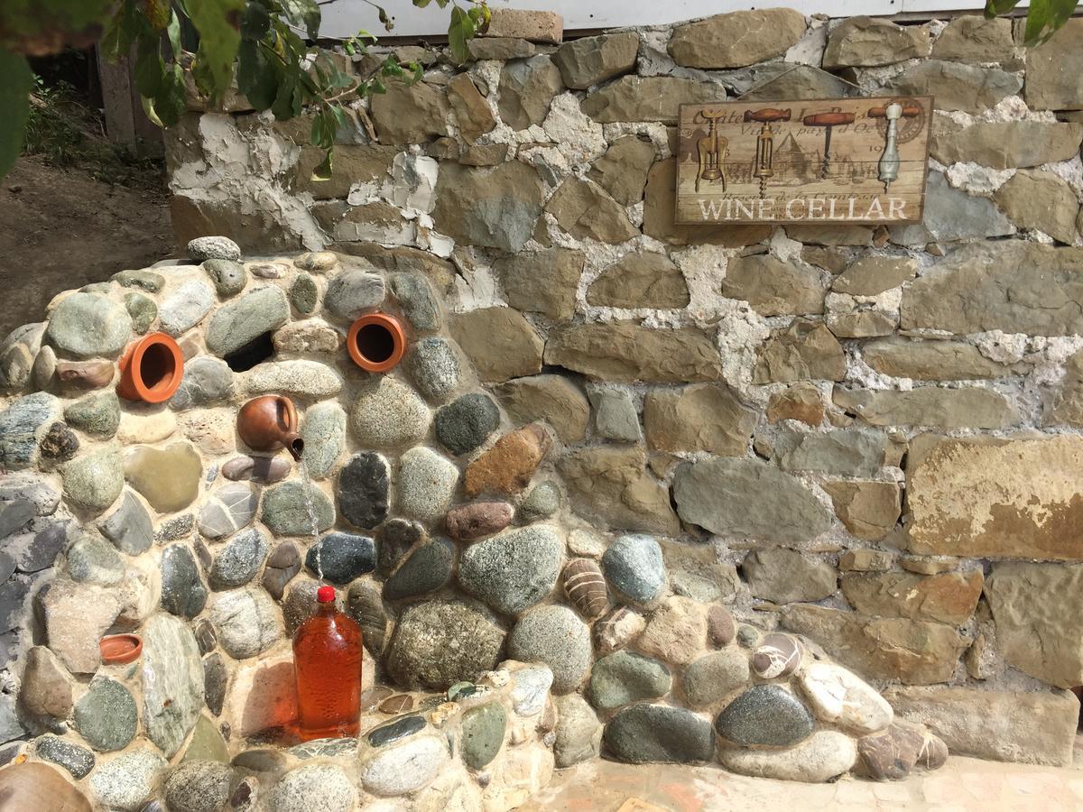 Hotel Sadmeli Winery Ambrolauri Zewnętrze zdjęcie