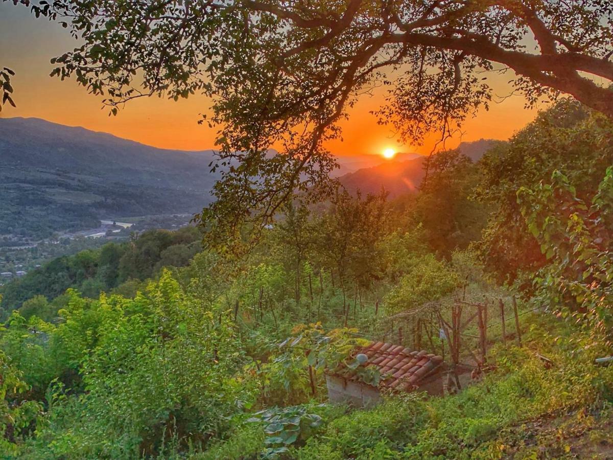 Hotel Sadmeli Winery Ambrolauri Zewnętrze zdjęcie